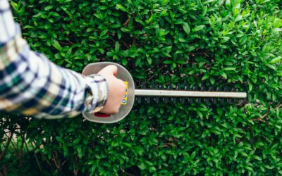 When Can You Cut Hedges Legally? 