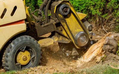 How Do Professionals Do Stump Grinding in the UK?